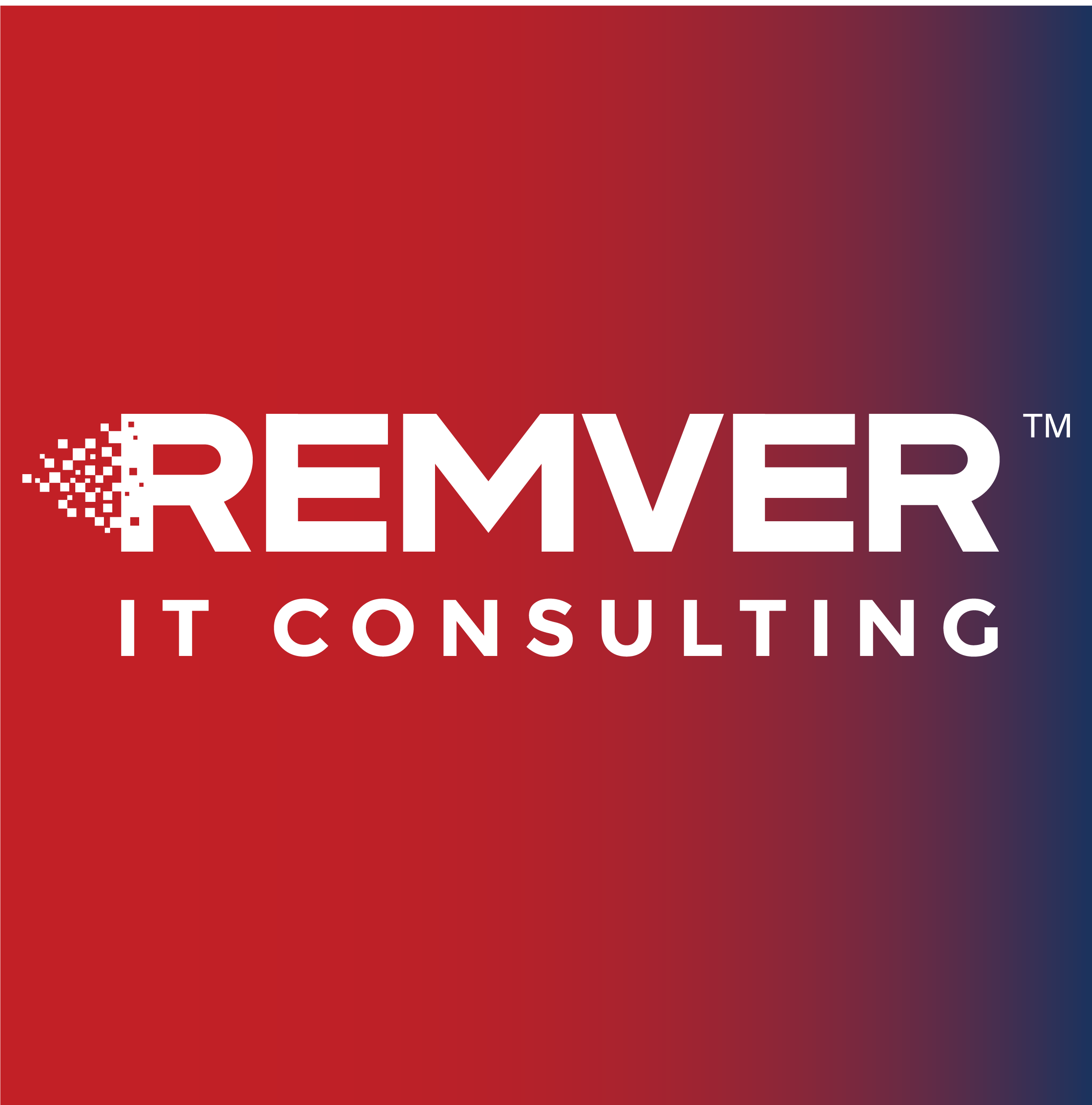 REMVER IT Consulting